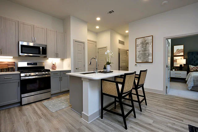 The Flats At West Alabama - Image 4