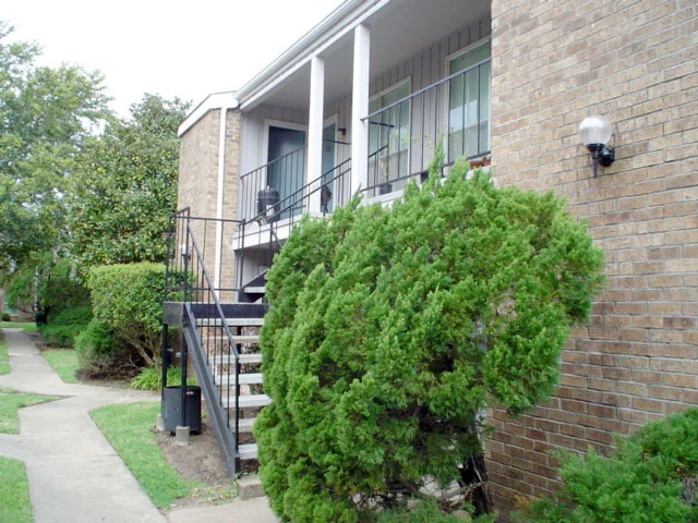 Falcon Point - Image 4