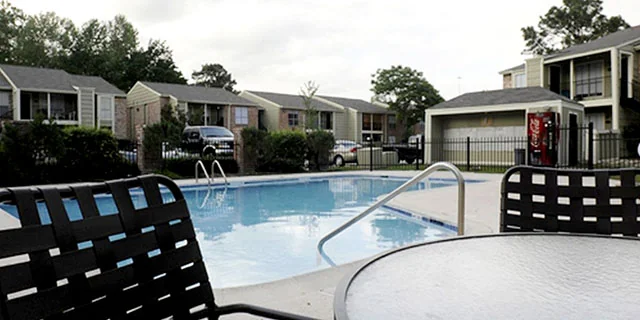 Live Oak - Image 2