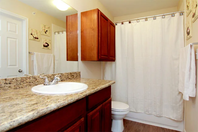 Forest Creek - Image 4