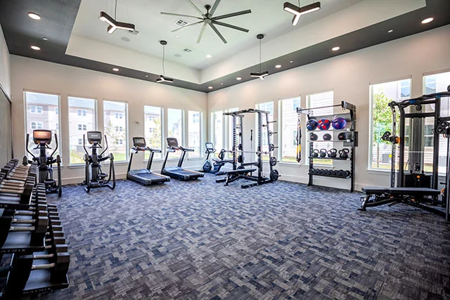 August Friendswood - Image 4