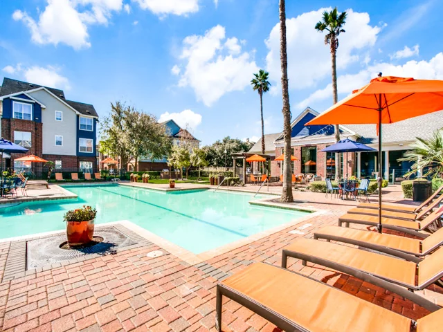 Aventura On Briar Forest - Image 3