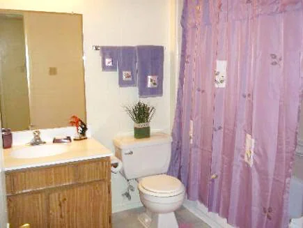 Ambiance - Image 2