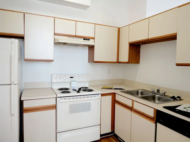 The Park At Cedar Lawn - Image 4