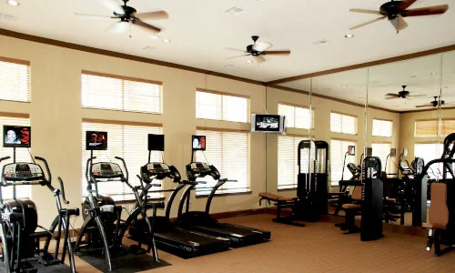 The Retreat At Cinco Ranch - Image 4