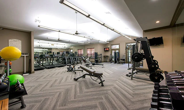 Village On Memorial Townhomes - Image 4