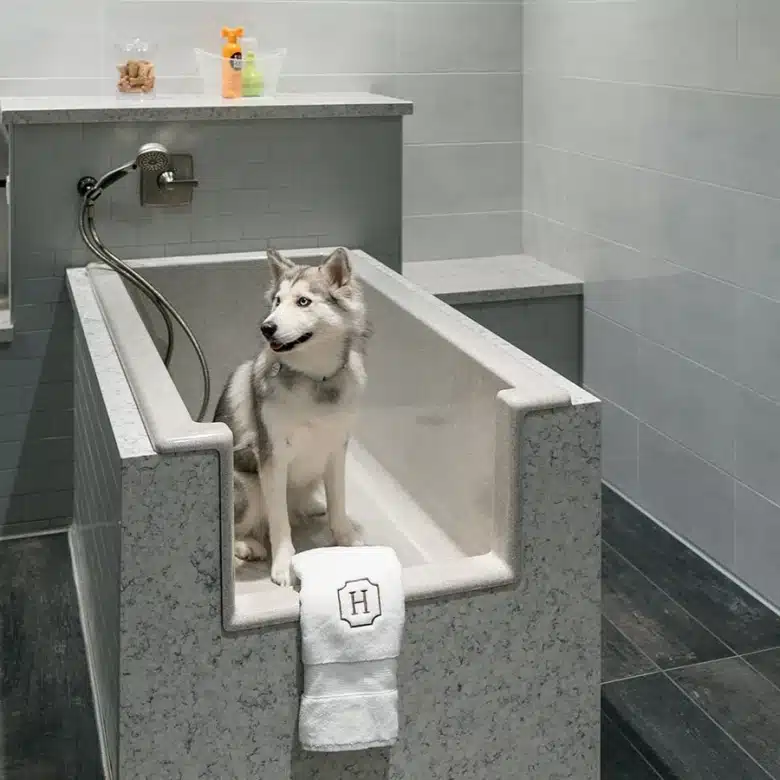 pet bath