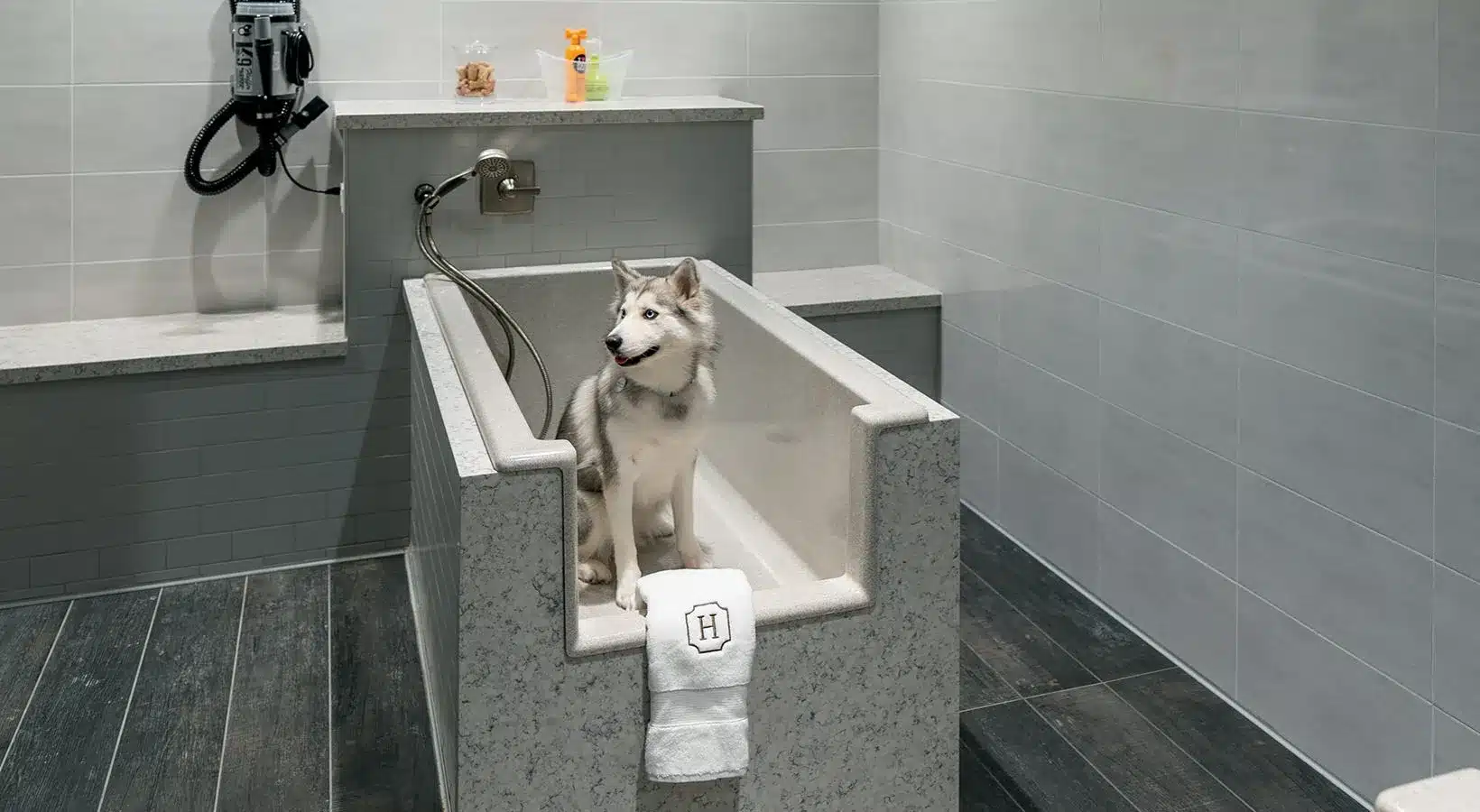 pet bath