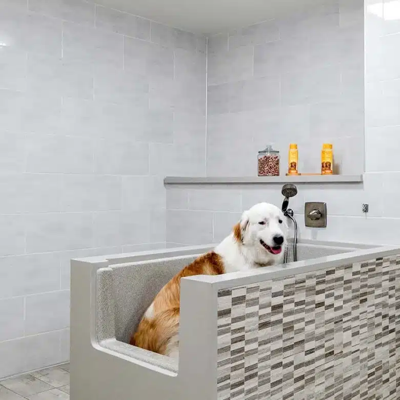 pet bath